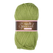 Stylecraft Special DK 1065 Meadow