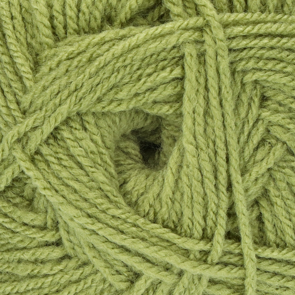 Stylecraft Special DK 1065 Meadow (2)