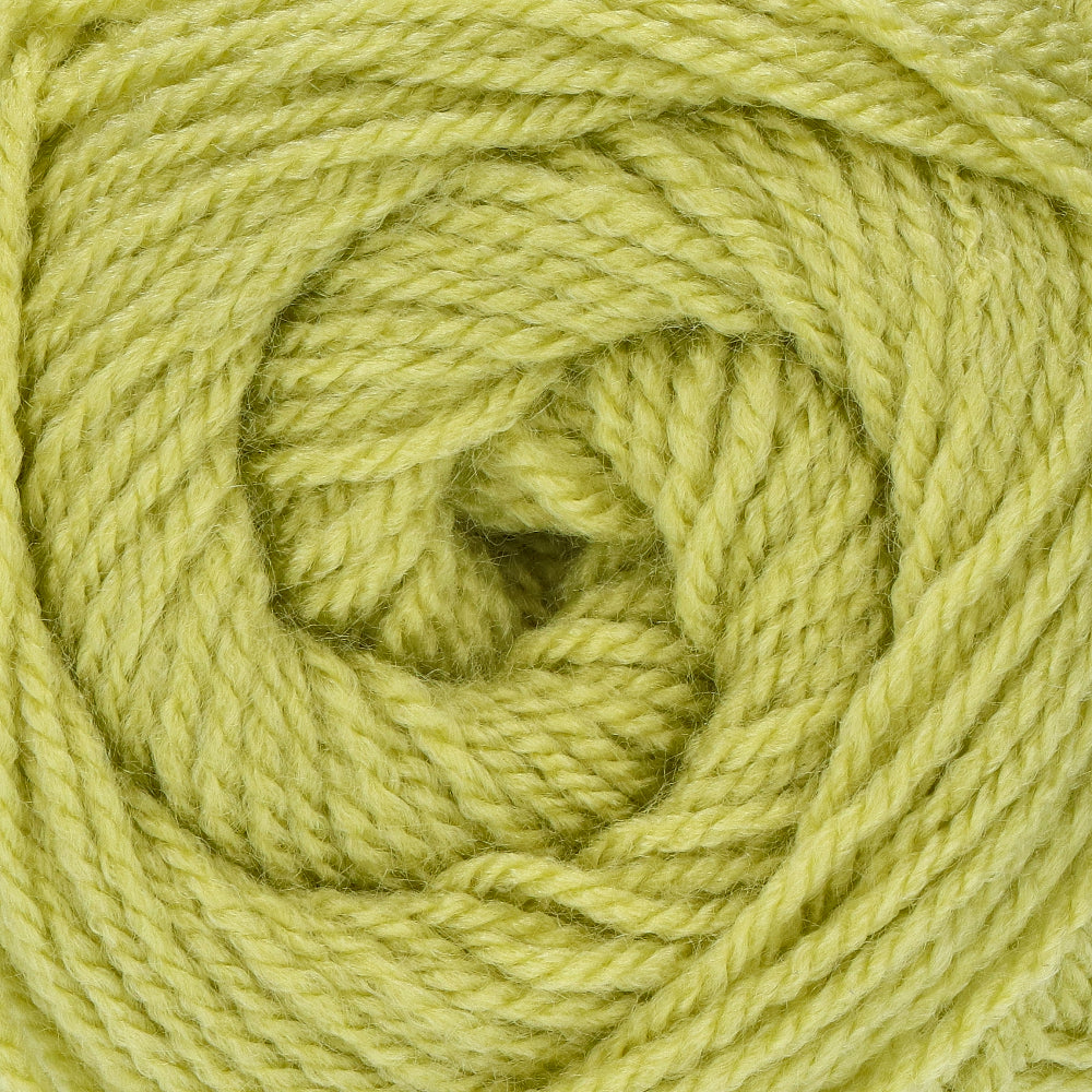Stylecraft Special DK 1822 Pistachio (2)