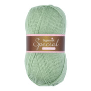 Stylecraft Special DK 1834 Lincoln