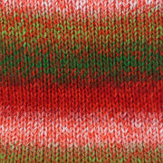 Stylecraft Wonderland Chunky 3802 Rocking Robin