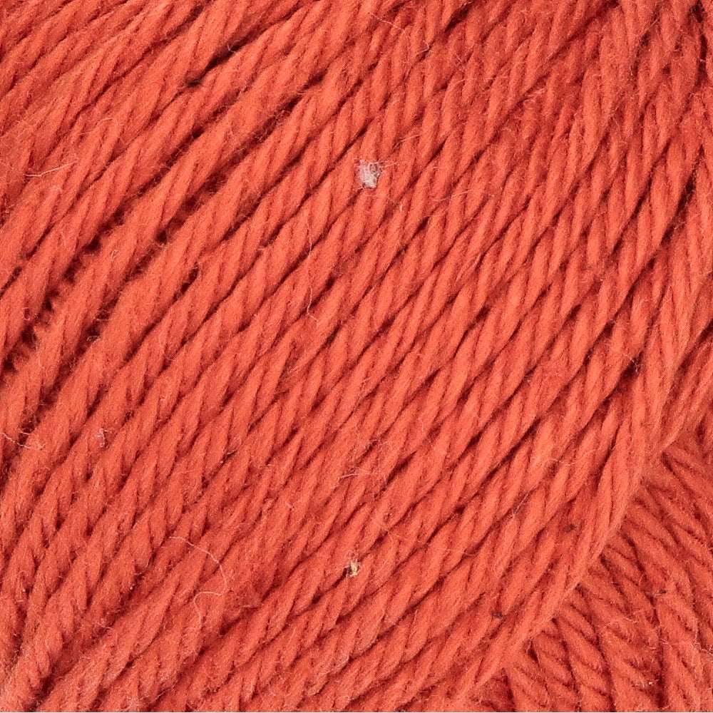Yarn and Colors Must-have Minis 109 Rust (2)