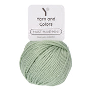 Yarn and Colors Must-have Minis 121 Celadon - bol garen in deze kleur