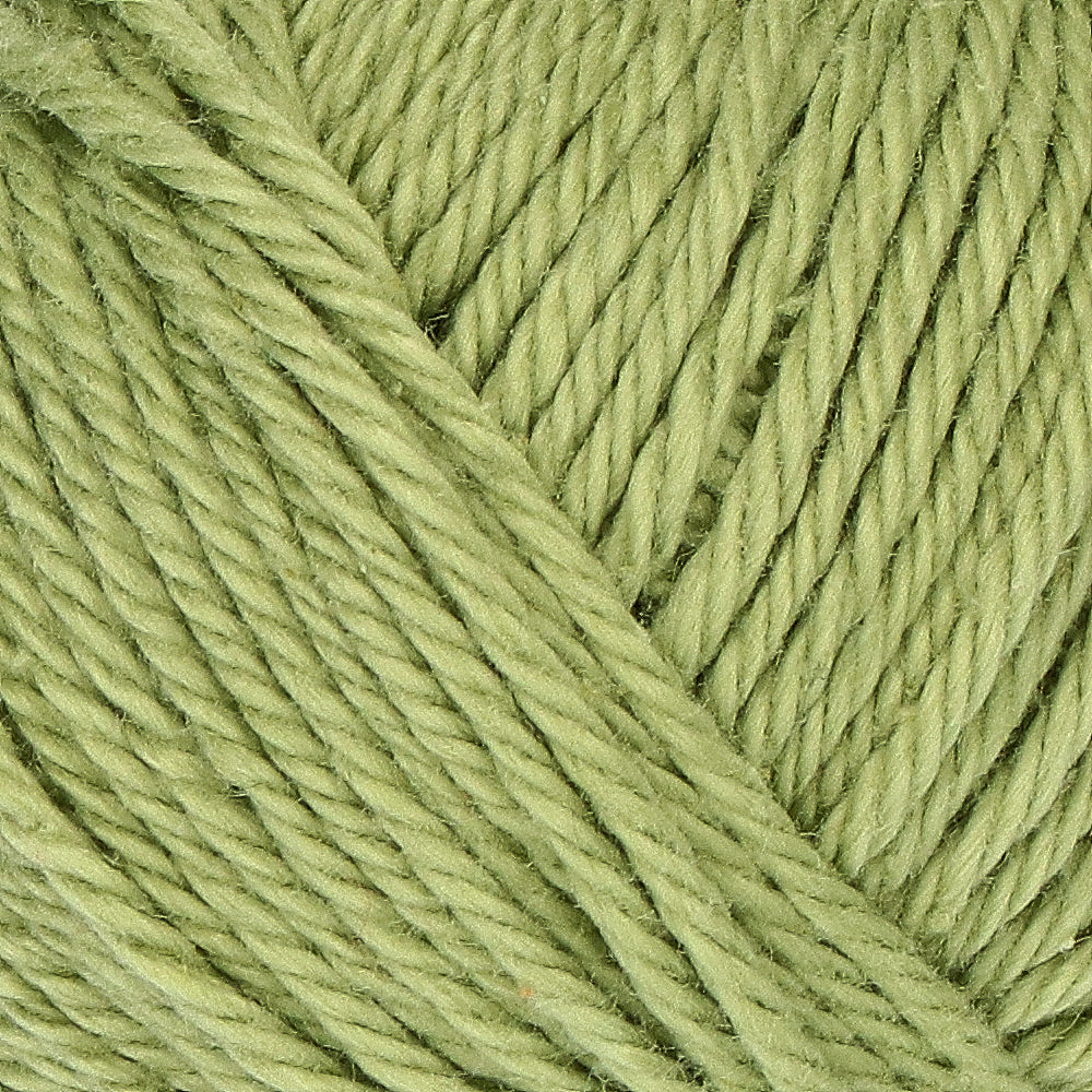 Yarn and Colors Must-have Minis 123 Fern (2)