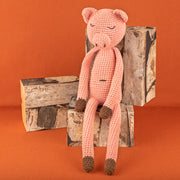 Yarn and Colors Patty Pig Haakpakket