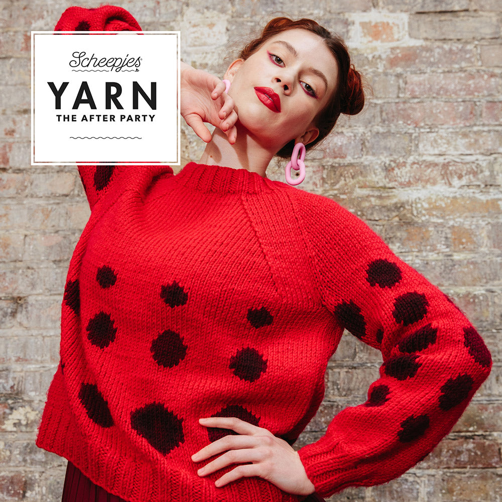 Ladybird jumper — gemaakt met YARN The After Party nr. (2)